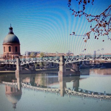 Le Saint Cyp - Toulouse - Appart Entier Cosy Et Au Calme, Proche Du Metro المظهر الخارجي الصورة